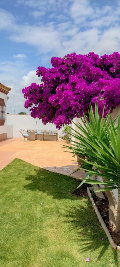 Chalet Hercules La Barrosa شيكلانا دي لا فرونتيرا المظهر الخارجي الصورة